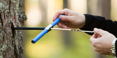 木生長(zhǎng)錐 木生長(zhǎng)錐