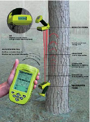 ST300立木品質(zhì)測(cè)量?jī)x