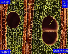 圖片關(guān)鍵詞 圖片關(guān)鍵詞