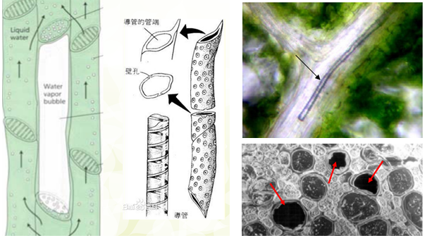 1564726170938220.png blob.png