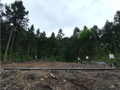 點(diǎn)將科技助力森林水文過(guò)程研究