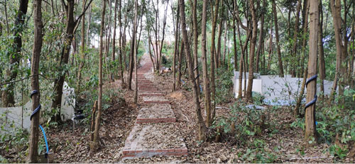 圖片關(guān)鍵詞