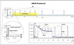 AquaPen藻類(lèi)葉綠素?zé)晒鉁y(cè)量?jī)x