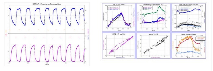 BBB1LP呼吸測(cè)量?jī)x（O2+CO2）