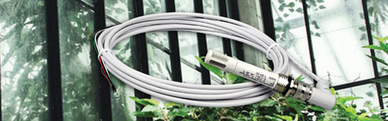 EE08-SS空氣溫濕度傳感器