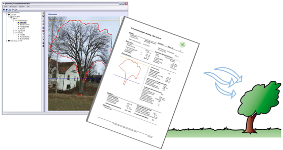 Arbostat樹木抗風分析軟件