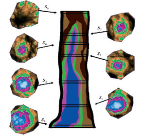 TRU樹(shù)木雷達(dá)、PICUS 3彈性波樹(shù)木斷層畫(huà)像診斷儀在昆山市綠化委員會(huì)順利驗(yàn)收