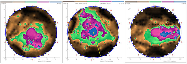 TRU樹木雷達(dá)、Picus 3和TreeQinetic樹木拉伸測試儀落戶長春市園林植物保護(hù)站
