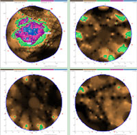 點(diǎn)將科技技術(shù)團(tuán)隊(duì)順利完成1600年樹(shù)齡古樟樹(shù)健康檢測(cè)