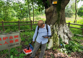 TRU樹木雷達助力古樹名木保護