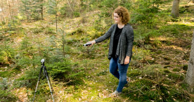 葉面積指數(shù)測量儀 葉面積指數(shù)測量儀