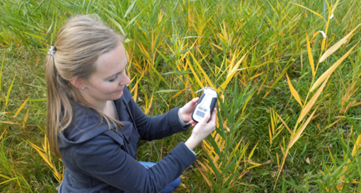 植物氮含量測(cè)量儀 植物氮含量測(cè)量儀