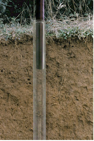 PMT-Root720根系動(dòng)態(tài)監(jiān)測(cè)系統(tǒng)