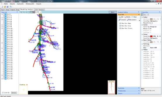 圖片關(guān)鍵詞