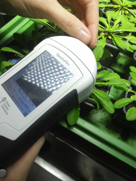 手持光譜儀 手持光譜儀