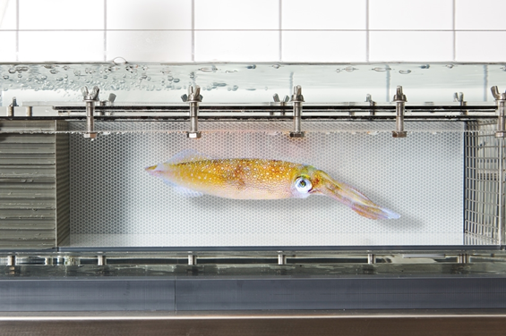 1598843824893512.png 1598843824893512.png