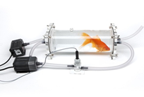 1599100481421839.png image.png