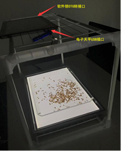 1599536696620759.png blob.png