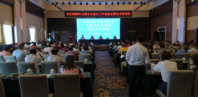 1602741318493194.png 1602741318493194.png