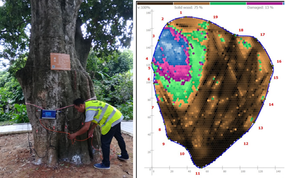 1602741422125022.png 1602741422125022.png