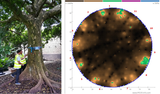 1602741444477186.png 1602741444477186.png