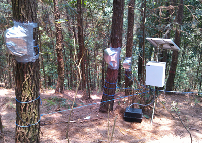 莖流（液流）測量系統(tǒng)