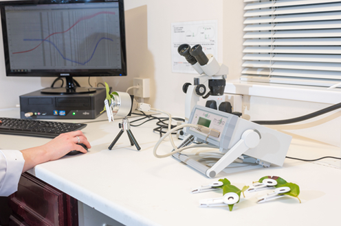 1620715415491206.png blob.png