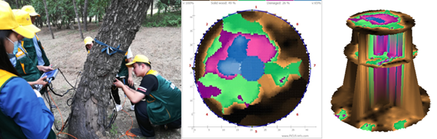 1622438845420078.png blob.png