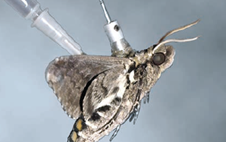 1623143026169833.png blob.png