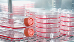 1623144053104929.png blob.png