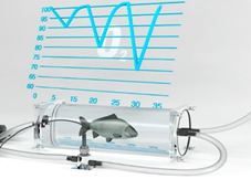 1623144506151485.png blob.png