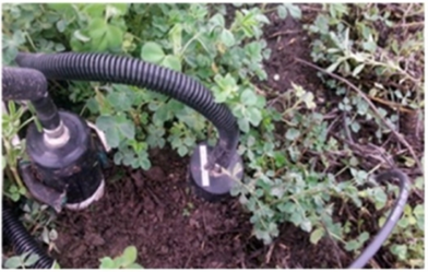 1625453396214003.png blob.png