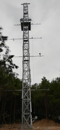 1625453589106871.png blob.png