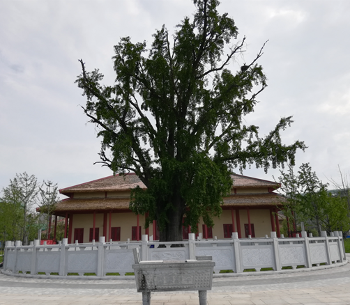 1630301175532316.png blob.png