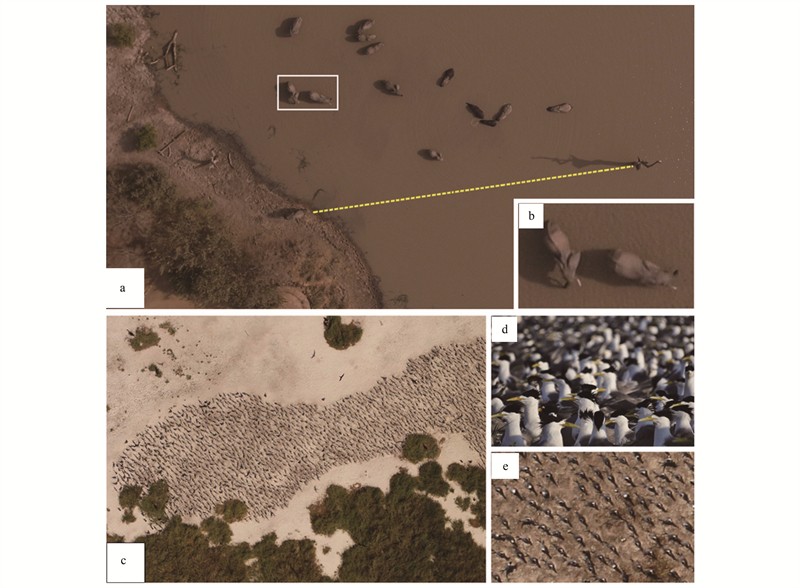 圖片關(guān)鍵詞