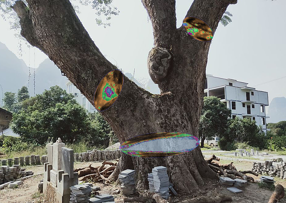 圖片關(guān)鍵詞