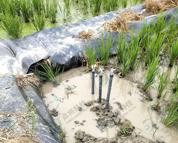 圖片關(guān)鍵詞 圖片關(guān)鍵詞