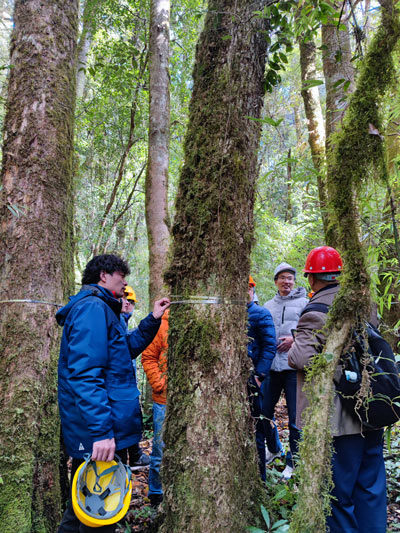 樹木胸徑測(cè)量環(huán) 樹木胸徑測(cè)量環(huán)