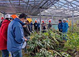 哀牢山樣地 哀牢山樣地