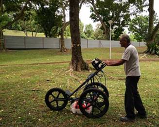 TRU樹木雷達檢測系統(tǒng) TRU樹木雷達檢測系統(tǒng)