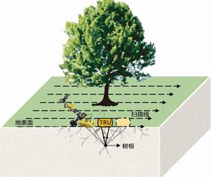 TRU樹木雷達檢測系統(tǒng) TRU樹木雷達檢測系統(tǒng)