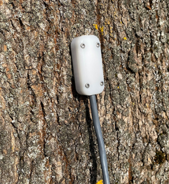 植物液流傳感器 植物液流傳感器