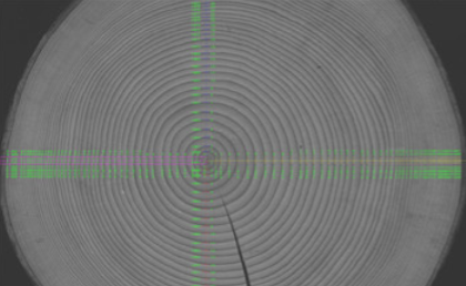 樹木年輪分析儀