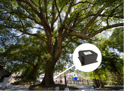 樹木傾斜智能監(jiān)測系統(tǒng) 樹木傾斜智能監(jiān)測系統(tǒng)