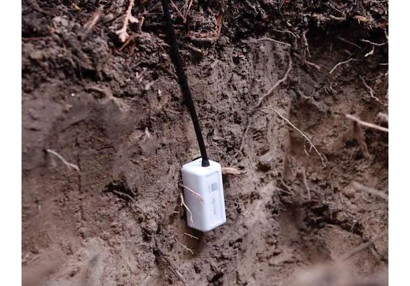 土壤水分記錄儀 土壤水分記錄儀