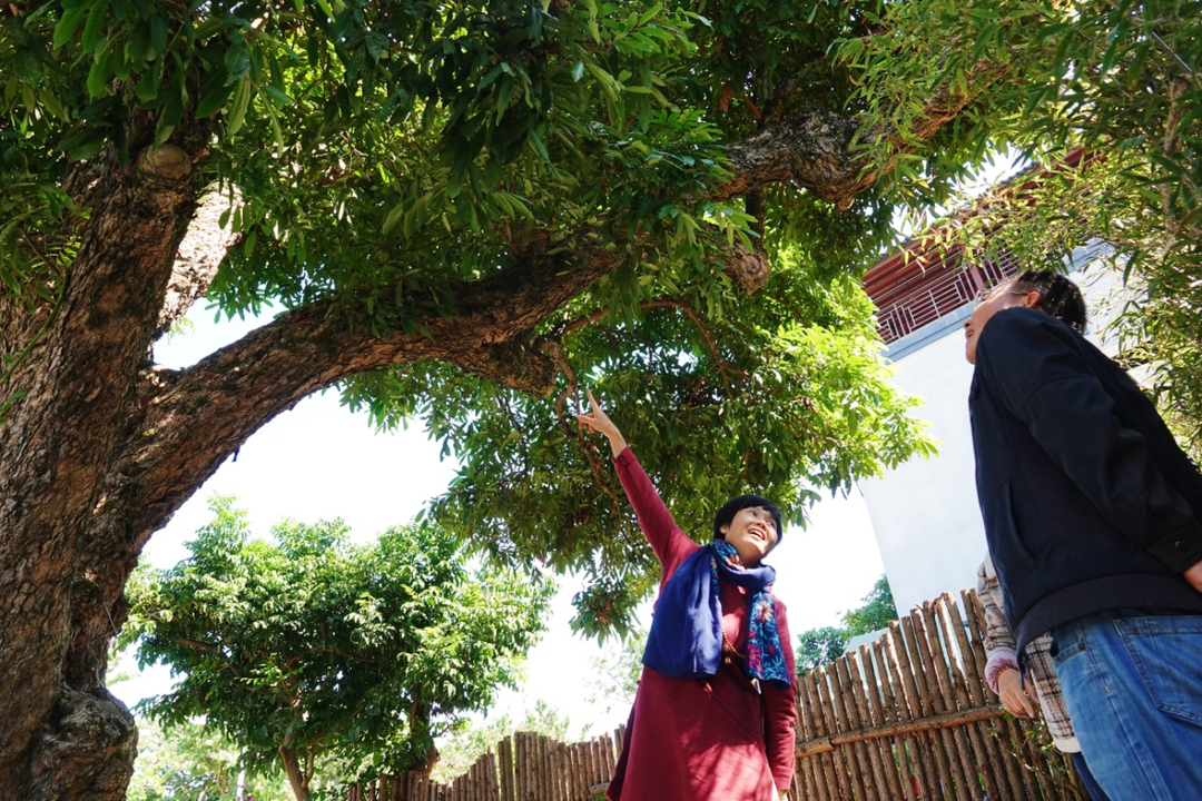 圖片關(guān)鍵詞 圖片關(guān)鍵詞