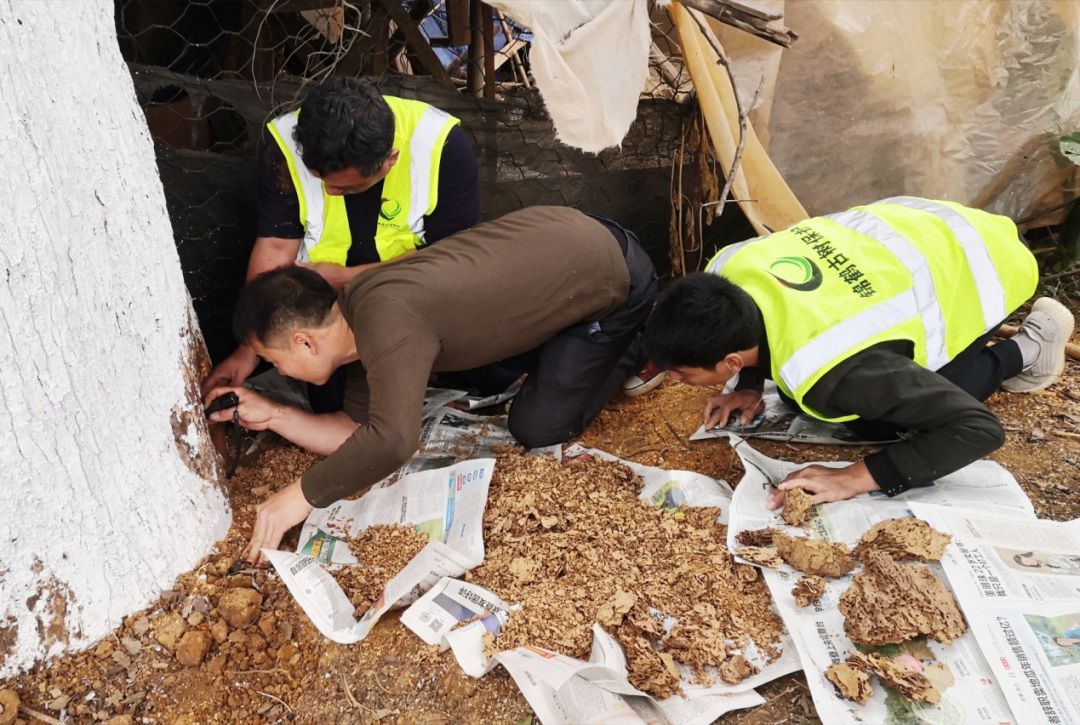 圖片關(guān)鍵詞 圖片關(guān)鍵詞