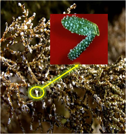 圖片關(guān)鍵詞