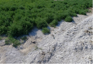 圖片關(guān)鍵詞