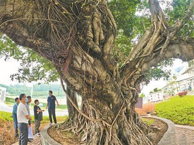 圖片關(guān)鍵詞 圖片關(guān)鍵詞